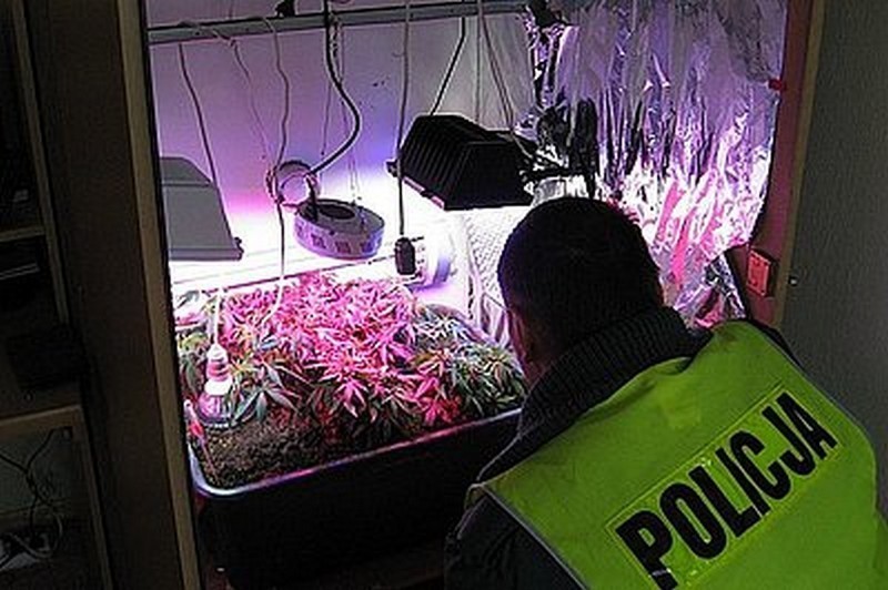 W styczniu 2012 roku policjanci z Poręby zatrzymali...