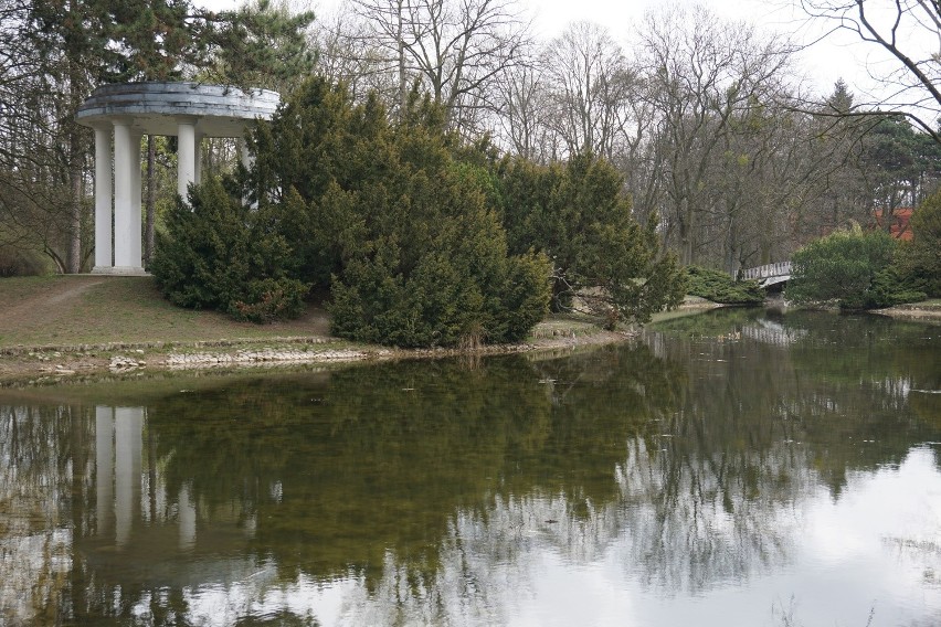 Wielka renowacja parku Poniatowskiego w Łodzi [ZDJĘCIA]