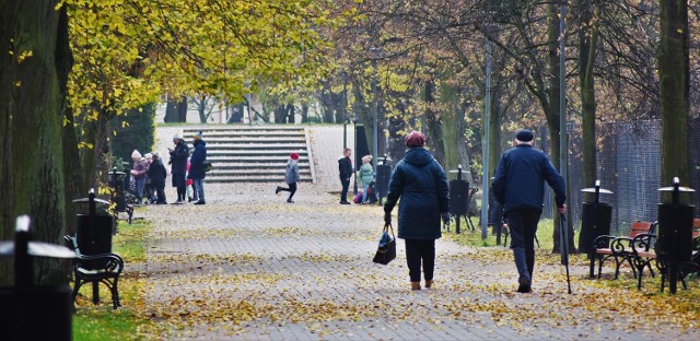 Dwie petycje dotyczące parku przy ul. Poznańskiej w Śremie. W jednej postuluje się upamiętnienie w tej śremskiej zielonej enklawie Rzezi Wołyńskiej, w drugiej apeluje się, aby z parku nie czynić miejsca pamięci