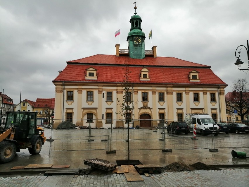 Rawicz. Na rynku pojawiły się pierwsze sztuki nowych drzew. Płytę rynku po rewitalizacji ozdobią grusze drobnoowocowe i lipy [ZDJĘCIA]