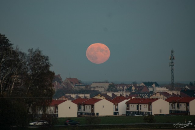 Niezwykła pełnia Księżyca! Zobacz Pleszew w pełnym w blasku Srebrnego Globu. Te zdjęcia są niesamowite!