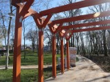 Świdnicki park linowy już niedługo zostanie oddany do użytku. Zobacz zdjęcia