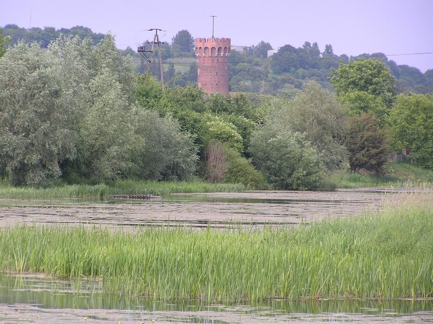 Wieża zamku krzyżackiego w Świeciu nad Wisłą. Przed...