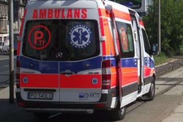 Pogryziony chłopiec został przewieziony do szpitala w Poznaniu
