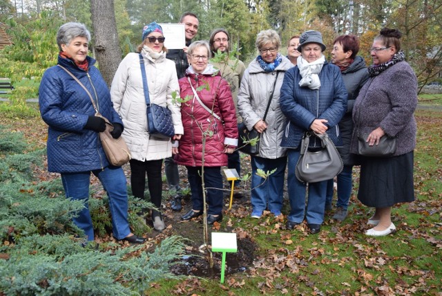 Zielonogórskie Stowarzyszenie Amazonek ma od dziś w ogrodzie botanicznym własnego dęba.