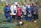 Zielona Góra. Dąb Amazonek będzie teraz rósł w zielonogórskim ogrodzie botanicznym. To symbol siły tych Lubuszanek! [ZDJĘCIA]