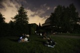 Noc spadających gwiazd w Parku Śląskim tym razem przed Gołębnikiem ZAPOWIEDŹ