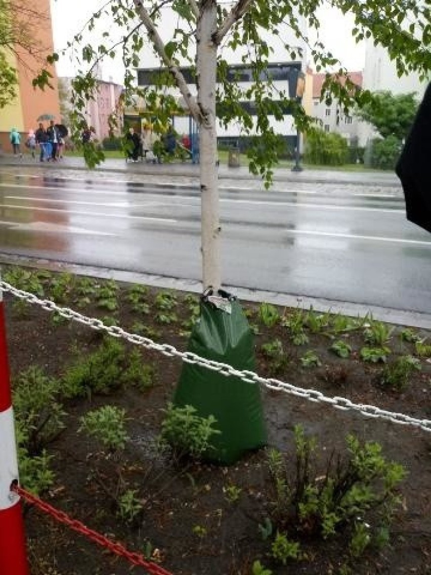 Specjalne worki z wodą zostały już zamontowane na...