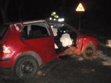 Wypadek na trasie Wyczechy- Krzemieniewo. Ranna została 41-letnia kobieta