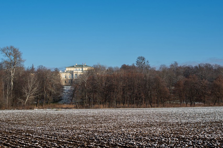  Park Czartoryskich w Puławach szykuje się do zimowego snu? To ostatni taki spacer w tym sezonie. Zobacz zdjęcia!