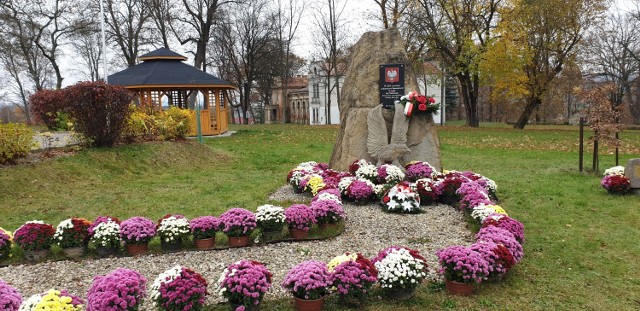 170 chryzantem od rolnika z powiatu jasielskiego przy pomniku i na cmentarzu w Brzyskach.