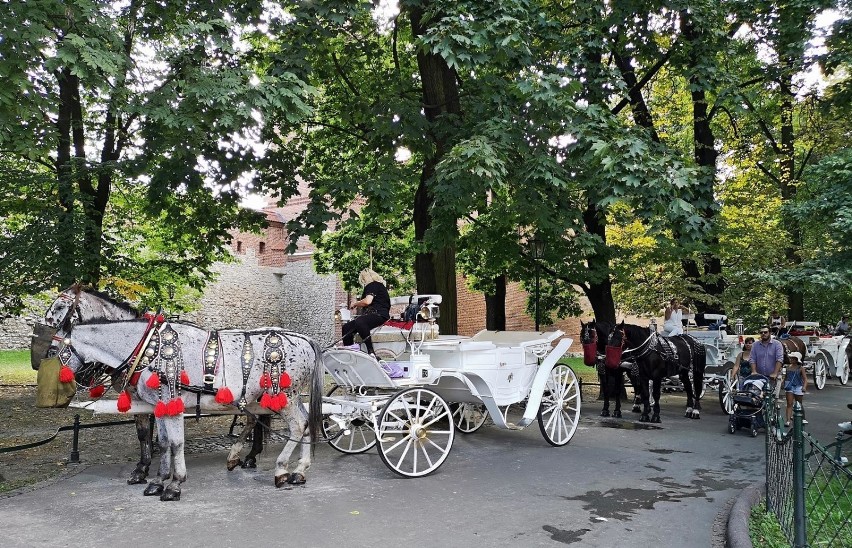 Kraków. Postój dla dorożek na Plantach [ZDJĘCIA]