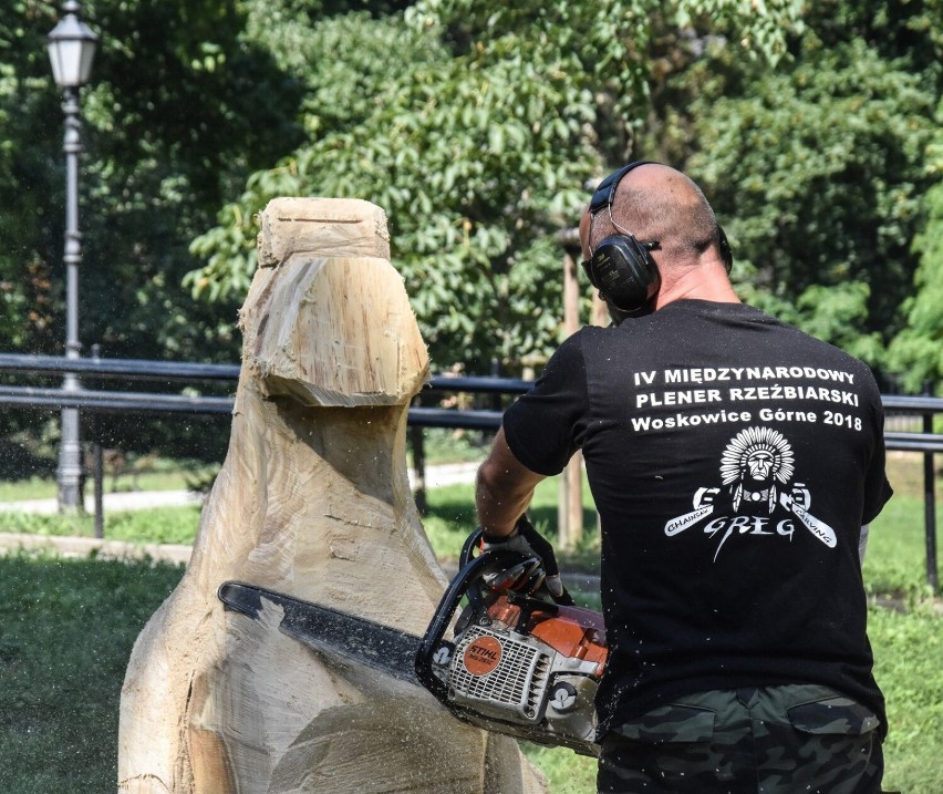 Szamotuły. W Parku Zamkowym trwa XI Plener Rzeźbiarski pod hasłem "Wielki Powrót Rzeźb" [DZIEŃ TRZECI]