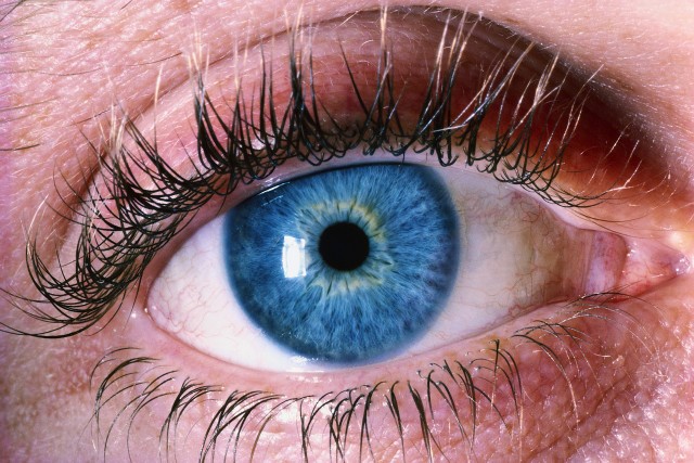 Badania dna oka pozwalają zapobiegać chorobom wywołującym ślepotę