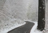 Idzie zima zła! W Górach Opawskich spadł pierwszy śnieg w tym sezonie