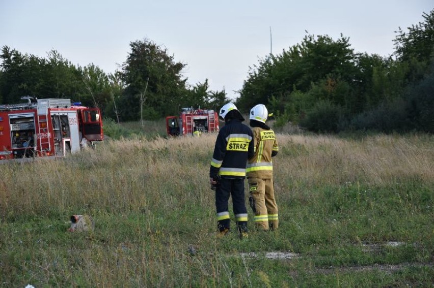 Kolejny pożar na wysypisku śmieci w Pyszącej. Na miejscu...