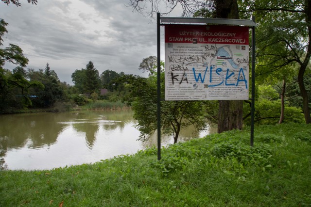 Wiele z tych drzew to pomniki przyrody. Niestety, ciężko je teraz podziwiać. Wszystko przez walające się wokół sterty śmieci. Dawniej okoliczni mieszkańcy mogli w tym urokliwym zakątku miło spędzić czas, a w upalny dzień znaleźć cień wśród starych drzew. Dla nowohucian ustawiono ławki, kosze na śmieci. O walorach przyrodniczych tego miejsca miała informować tablica. Każdy mógł podziwiać pływające po stawie kaczki i łabędzie.