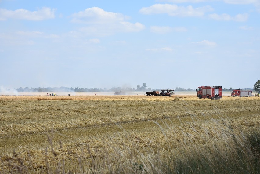 Na polu wybuchł pożar. Interweniowali strażacy z Wrześni i Gniezna [FOTO]