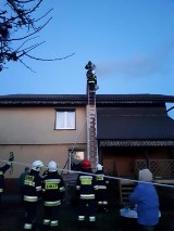 Dobrzyca. Pożary sadzy wybuchły jeden po drugim