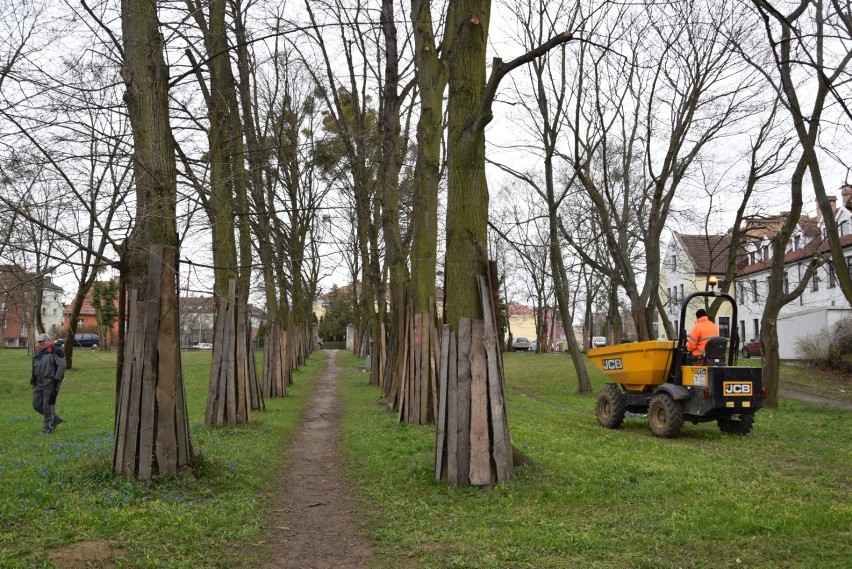 Aleje i pomnik. Ruszyły prace na dawnym cmentarzu przy Wita Stwosza w Pruszczu |ZDJĘCIA