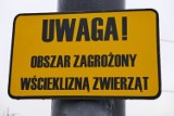 Wścieklizna na Mazowszu. Potwierdzono nowe przypadki. Rządowe Centrum Bezpieczeństwa ostrzega Warszawę i okolice