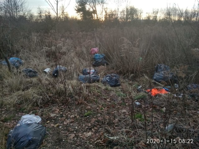 Gniezno: podrzucanie śmieci jest surowo karane