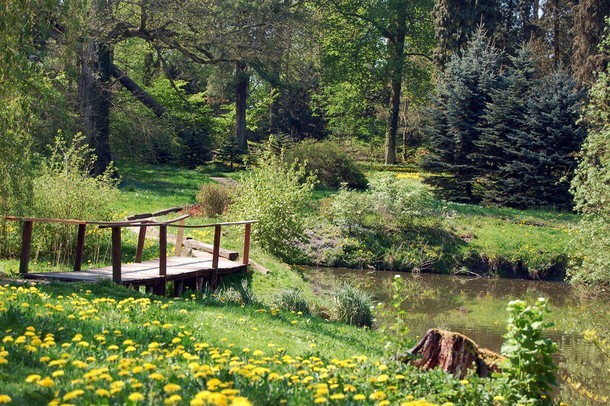 Ogród Dendrologiczny w Przelewicach to niezwykłe spotkania z przyrodą.