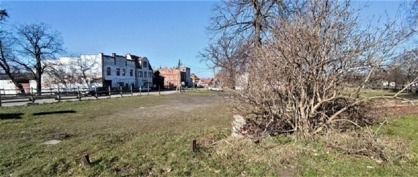 Działki z widokiem na zamek w Malborku będą wiosną do kupienia. Miasto ogłasza zamiar sprzedaży nieruchomości i proponuje wysoką cenę