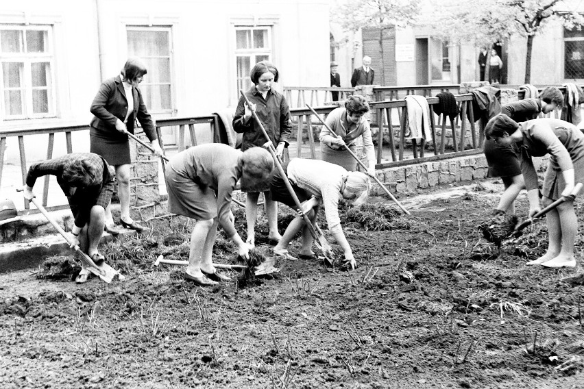 Sieradz lat 70. Czyn społeczny uczennic "Medyka" na...