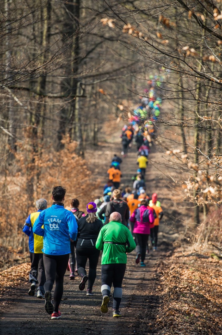 Biegi przełajowe CITY TRAIL