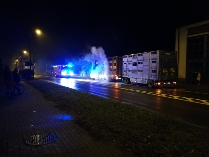 Pożar tira przewożącego trzodę chlewną. Na ul. Mickiewicza w Radomsku zapaliła się opona ciężarówki