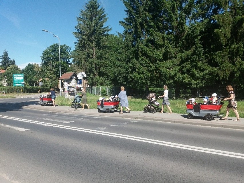 Życie nowego żłobka widać nie tylko w jego wnętrzach, ale i...