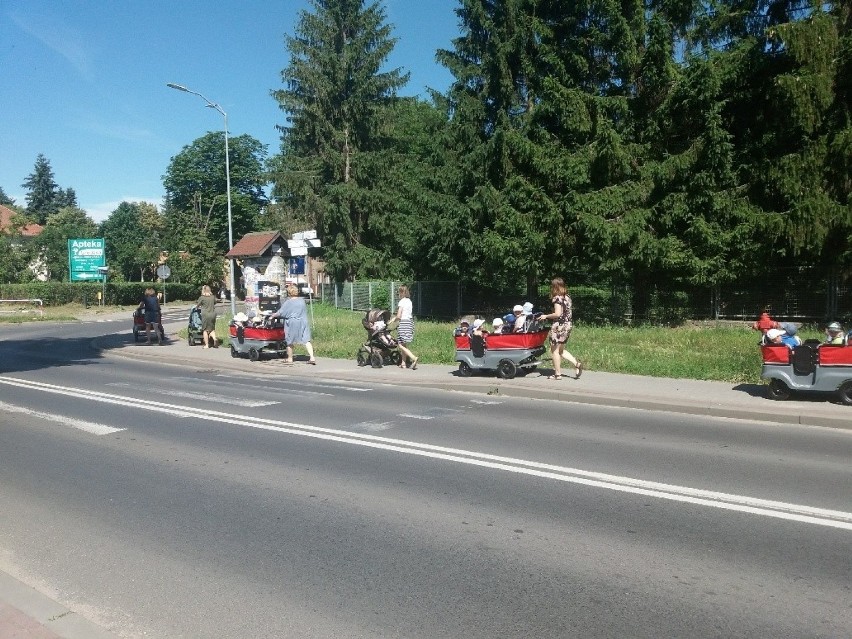 Życie nowego żłobka widać nie tylko w jego wnętrzach, ale i...