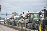 Rolniczy protest w Malborku. 20 marca do późnego popołudnia mogą wystąpić utrudnienia na drodze krajowej nr 22. Będzie też pikieta w centrum