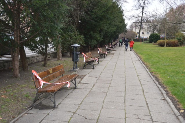 Alejkę Pamięci Niezwykłych Polek i wystawa w Opolu.