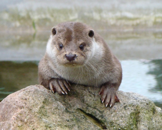 Nocne zwierzaki w śląskim zoo