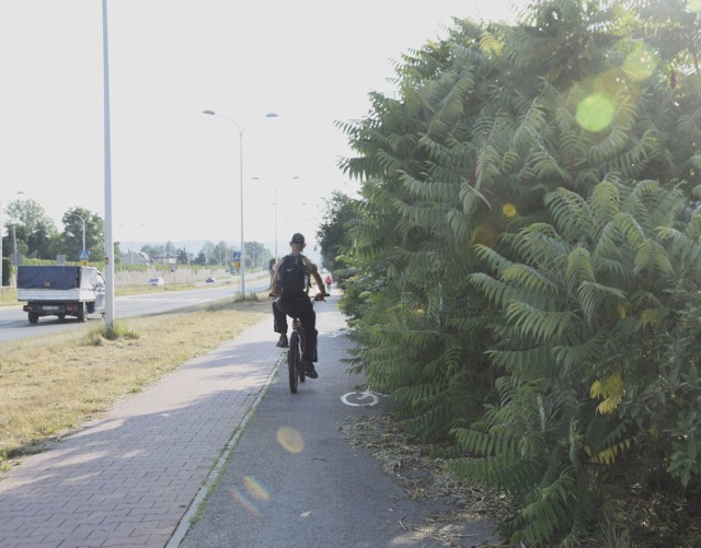 Trawę na poboczach ulicy Krakowskiej skoszono, ale... krzaków przy ścieżce rowerowej nie przycięto. Rowerzyści muszą je omijać - niektórzy wjeżdżają przez to na ciąg dla pieszych.