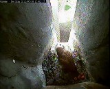 Pustułki w Kwidzynie: Już 4 jajka w gnieździe kwidzyńskich pustułek