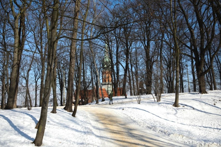 Miasto przygotowuje się do rewitalizacji parku Bednarskiego....