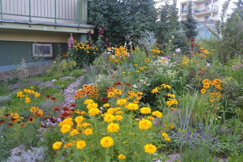 Konkurs "Gdzie te piękne ogrody i kwieciste balkony" w Suwałkach
