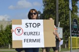 Ludzie odetchnęli z ulgą. Nie będzie wielkich kurników! [GALERIA]