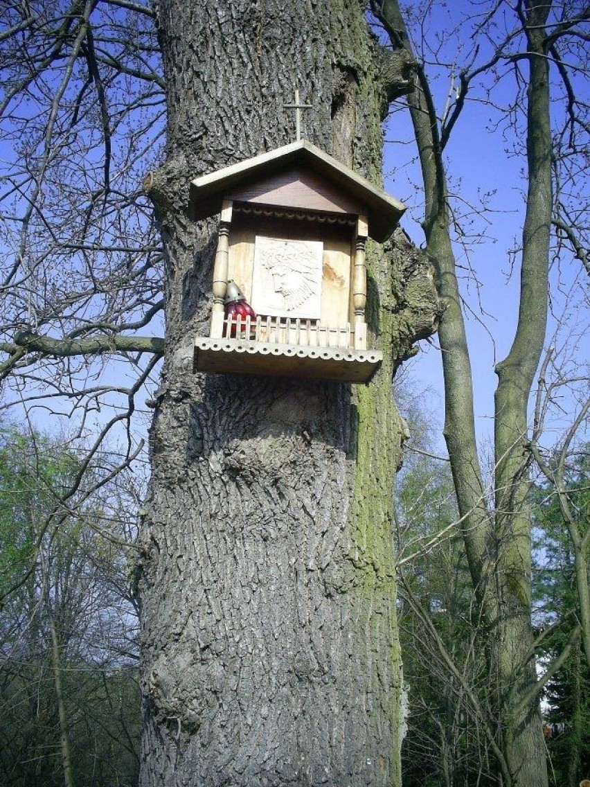 Kapliczka na drzewieFot. Dorota Michalczak