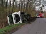 Wypadek w Ciepielowicach pod Opolem. Ciężarówka wioząca świnie przewróciła się na bok. Część zwierząt padła