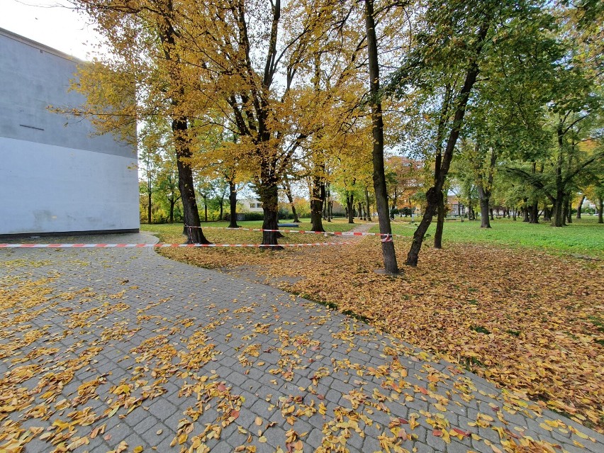 Częściowo ogrodzony park Leszczyńskich Satytyków