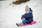 Półkolonie w Sosnowcu. Jakie atrakcje czekają na dzieci? 