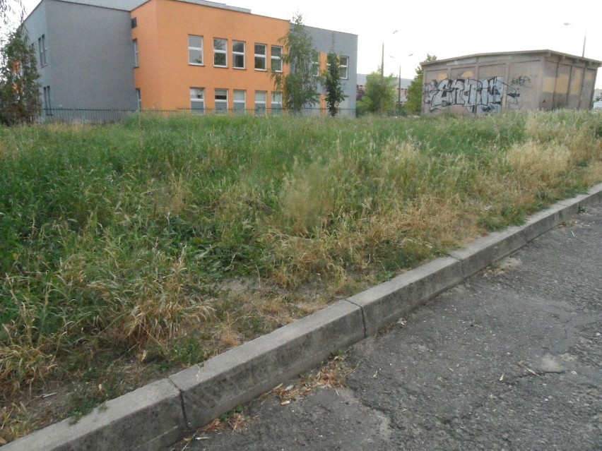 Śmieci przed szpitalem w Żorach, ale nie tylko