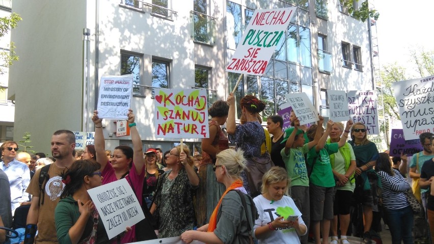 Kraków. Protest w obronie Puszczy Białowieskiej. "Dzięcioły, nie piły, korniki wygoniły" [ZDJĘCIA]