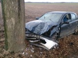 Kolizja na drodze Chróścina Opolska - Dąbrowa. Opel uderzył w drzewo 