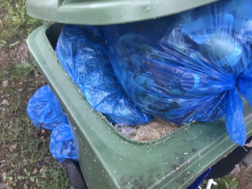 Gminy utoną w śmieciach? NOVA nie przyjmuje odpadów od spółki AVR