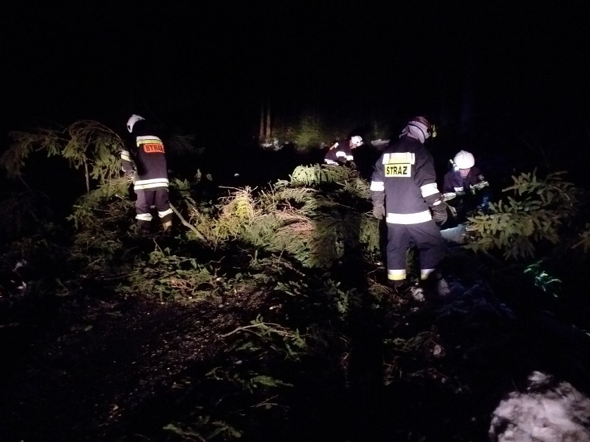 Wichura w powiecie cieszyńskim: prawie czterdzieści zgłoszeń, połamane drzewa i zerwane dachówki